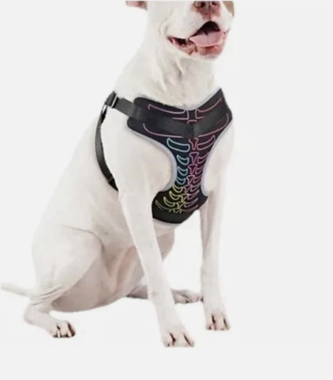 Halloween Neon Skeleton Dog Harness Costume Hyde & Eek Boutique Size M