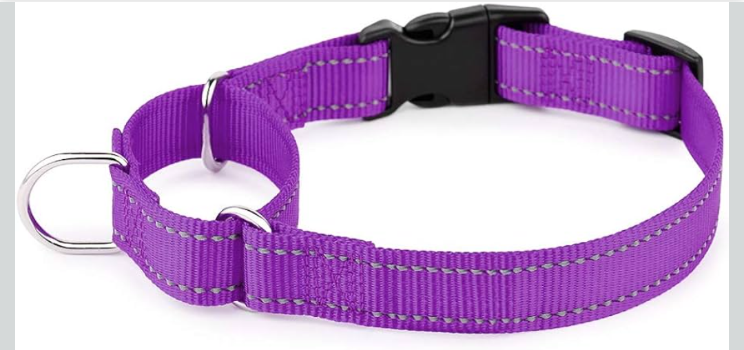 PLUTUS PET Reflective Martingale Collar with Quick Snap Buckle,No Pull Dog Choker Collar for Small Medium Large Dogs,S,Purple