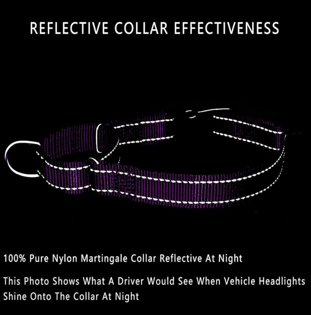 PLUTUS PET Reflective Martingale Collar with Quick Snap Buckle,No Pull Dog Choker Collar for Small Medium Large Dogs,S,Purple