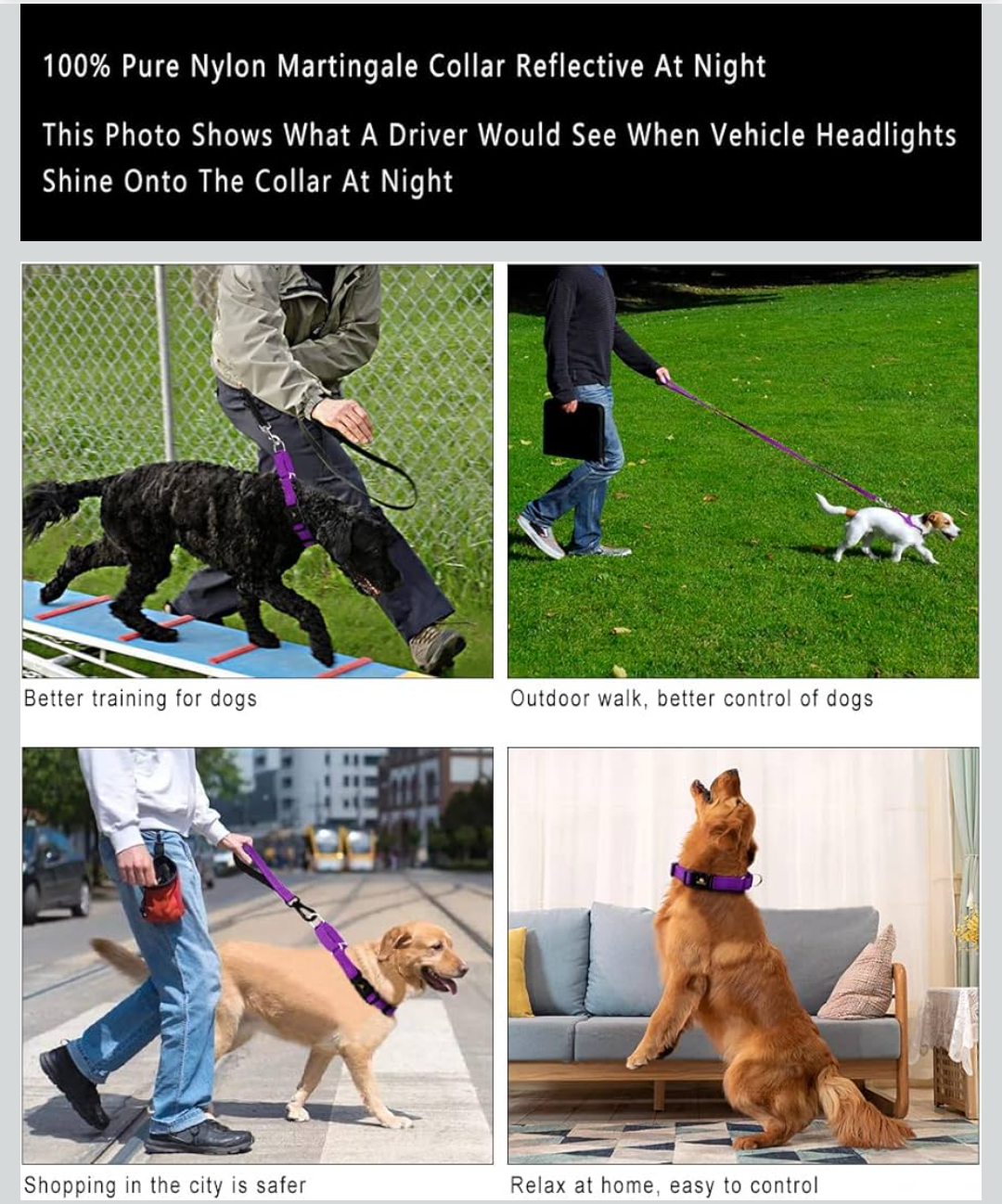 PLUTUS PET Reflective Martingale Collar with Quick Snap Buckle,No Pull Dog Choker Collar for Small Medium Large Dogs,S,Purple