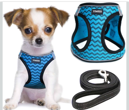 YIMEIS Dog Harness and Leash Set, No Pull Soft Mesh Pet Harness, Reflective Adjustable Puppy Vest for Small Dogs, Cats (S, Blue)