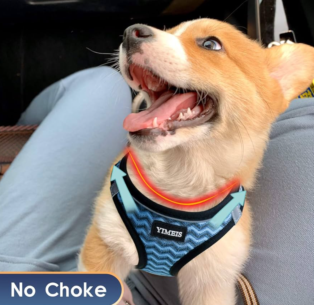 YIMEIS Dog Harness and Leash Set, No Pull Soft Mesh Pet Harness, Reflective Adjustable Puppy Vest for Small Dogs, Cats (S, Blue)