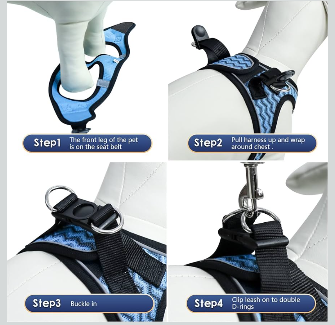 YIMEIS Dog Harness and Leash Set, No Pull Soft Mesh Pet Harness, Reflective Adjustable Puppy Vest for Small Dogs, Cats (S, Blue)