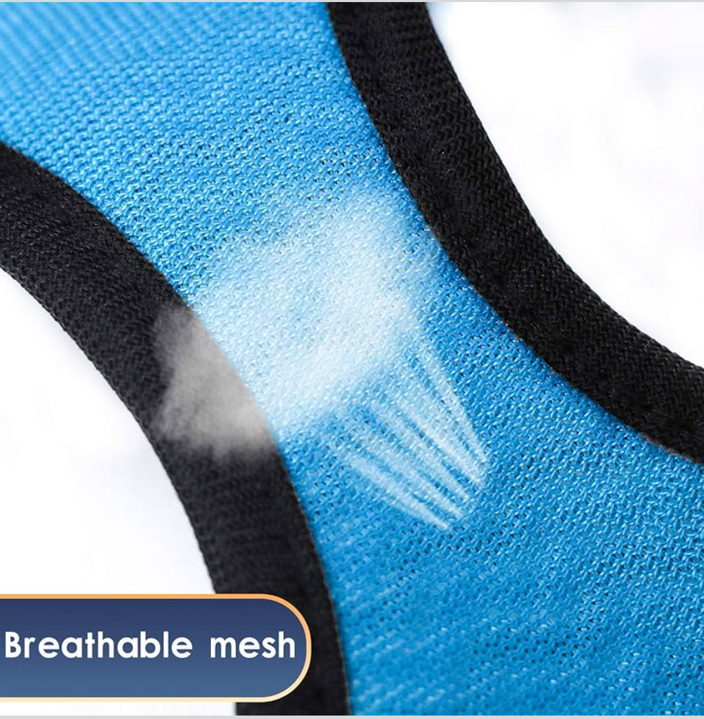 YIMEIS Dog Harness and Leash Set, No Pull Soft Mesh Pet Harness, Reflective Adjustable Puppy Vest for Small Dogs, Cats (S, Blue)