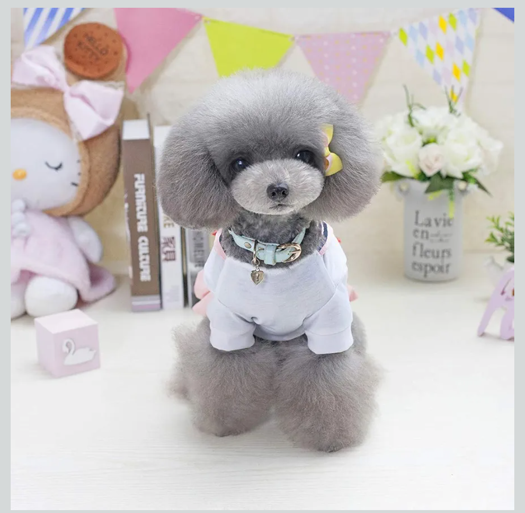 Tangpan Bow-Knot Student Cosplay Pet Costume Dog Skirt Camp Dress(Pink,S)