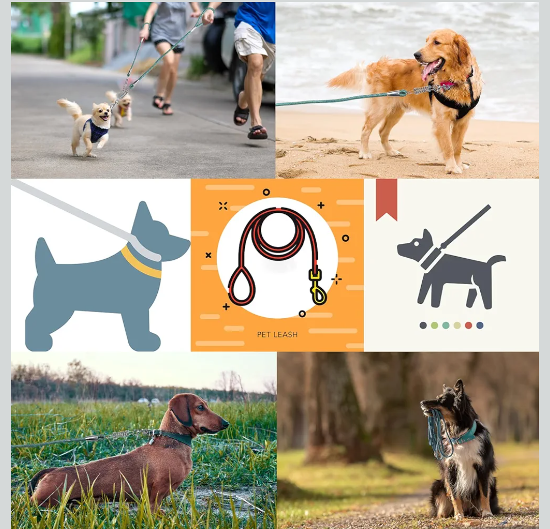 NAZOU 1/3 in Dog Leash for Small Medium Dogs 4ft 6ft 10ft 15ft Heavy Duty Dog Leash Two Color Slip Leash for Dog Training Long Leash for Dogs Outside Up to 90LBS