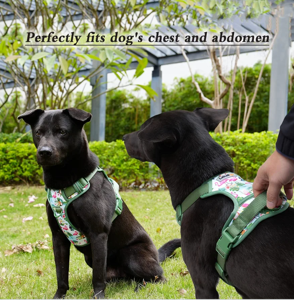 Dog Harness Collar 5ft Leash Poop Bag Holder Set, Reflective Adjustable No-Pull Dog Vest Harness with Safety Lock Easy Control Handle, for Small Medium Large Dogs 4pcs-M-Navy