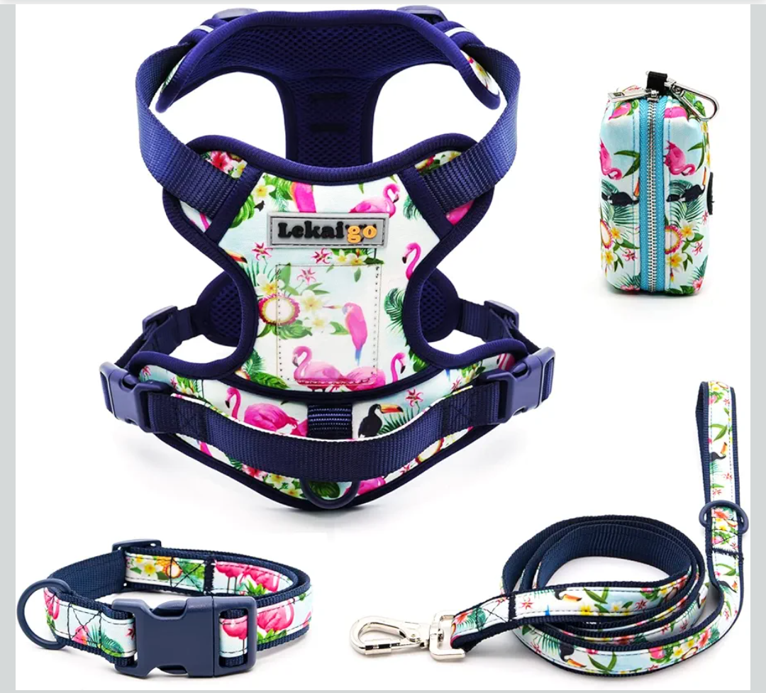 Dog Harness Collar 5ft Leash Poop Bag Holder Set, Reflective Adjustable No-Pull Dog Vest Harness with Safety Lock Easy Control Handle, for Small Medium Large Dogs 4pcs-M-Navy