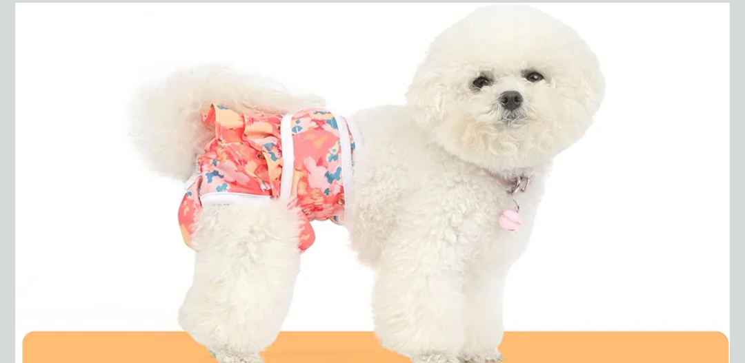 Washable Dog Diapers Female Reusable Highly Absorbent Doggie Diapers, Flexible Doggy Diapers Female Durable Leak-Proof Diapers for Dog Period Heat Incontinence Potty Training, Medium