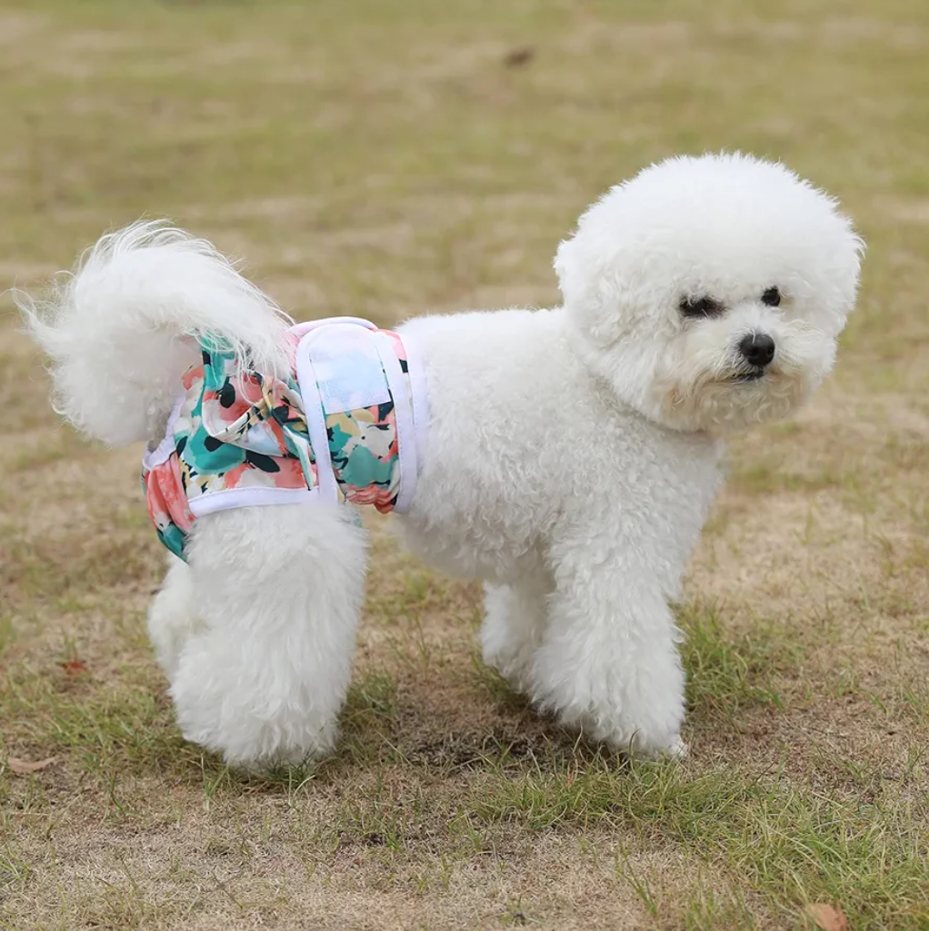 Washable Dog Diapers Female Reusable Highly Absorbent Doggie Diapers, Flexible Doggy Diapers Female Durable Leak-Proof Diapers for Dog Period Heat Incontinence Potty Training, Medium