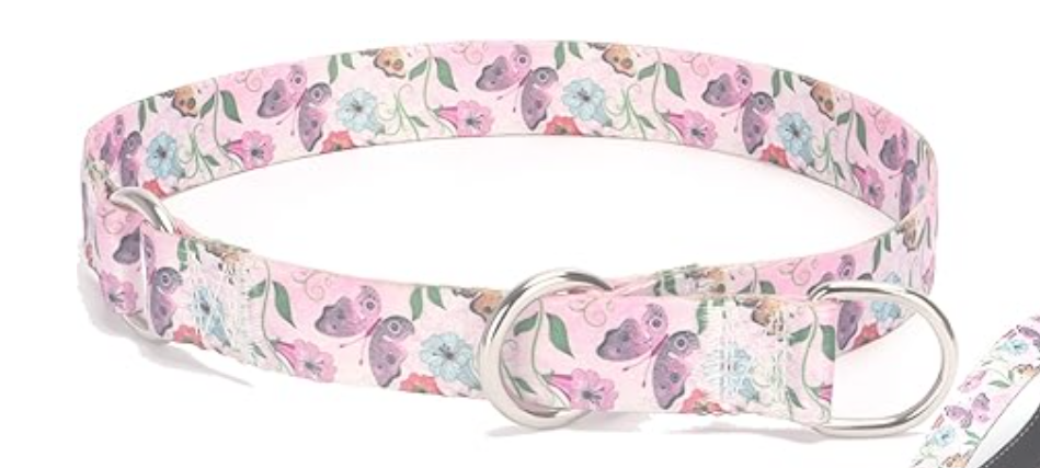 Martingale Dog Collar - No Pull Training Collar with Flower Multicolor Cute Patterns - Premium No Slip Collar with Slidable Stop Ring - Suitable for Small, Medium, Large Dogs (L, Butterflies))