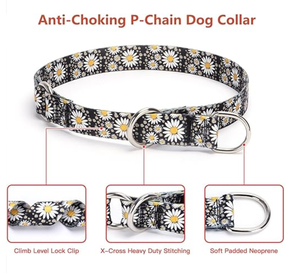 Martingale Dog Collar - No Pull Training Collar with Flower Multicolor Cute Patterns - Premium No Slip Collar with Slidable Stop Ring - Suitable for Small, Medium, Large Dogs (L, Butterflies))