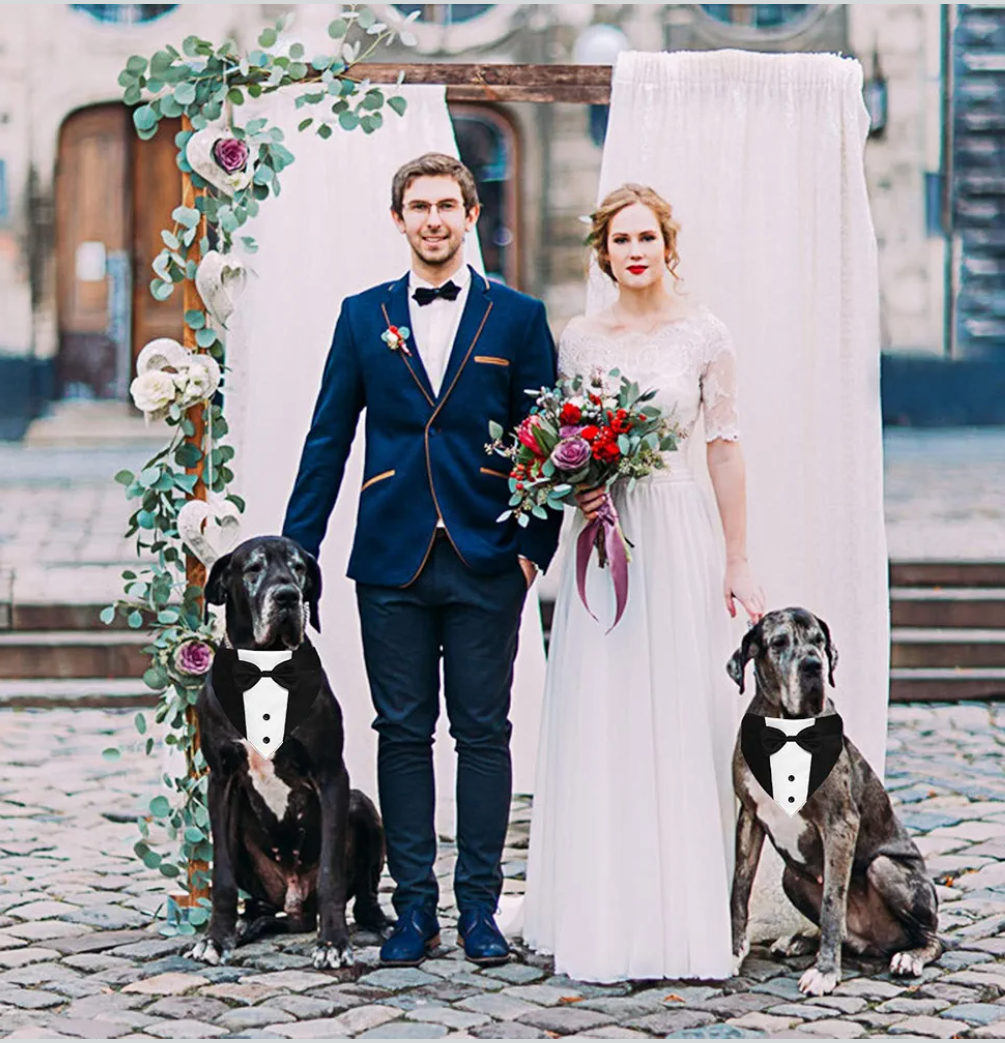 Dog Tuxedo Suit Wedding Bandana Collar with Bow Tie, Adjustable Formal Dog Tux, Engagement Birthday Tuxedo for Small Medium Large Dogs Pets (Large: Neck 15”-25”)