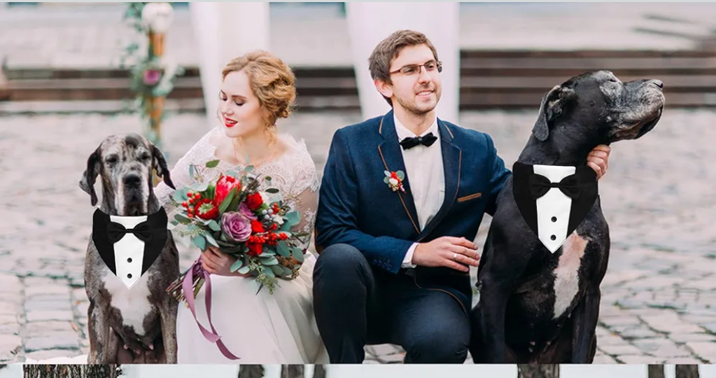Dog Tuxedo Suit Wedding Bandana Collar with Bow Tie, Adjustable Formal Dog Tux, Engagement Birthday Tuxedo for Small Medium Large Dogs Pets (Large: Neck 15”-25”)