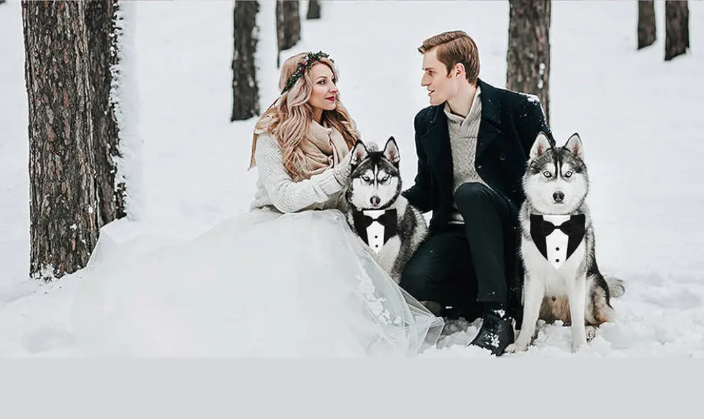 Dog Tuxedo Suit Wedding Bandana Collar with Bow Tie, Adjustable Formal Dog Tux, Engagement Birthday Tuxedo for Small Medium Large Dogs Pets (Large: Neck 15”-25”)