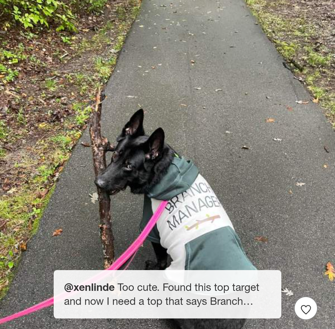 Branch Manager Dog Hoodie - Boots & Barkley™ Medium