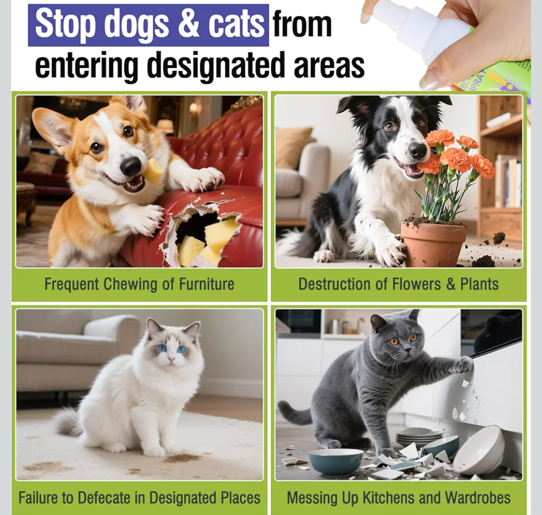 Pet Deterrent Spray - Stops Cat & Dog Peeing, Chewing, Scratching, Natural Citrus & Lemon Formula, Safe, Stain-Free Pee Corrector for Furniture, Shoes Indoor & Outdoor Training (4oz)