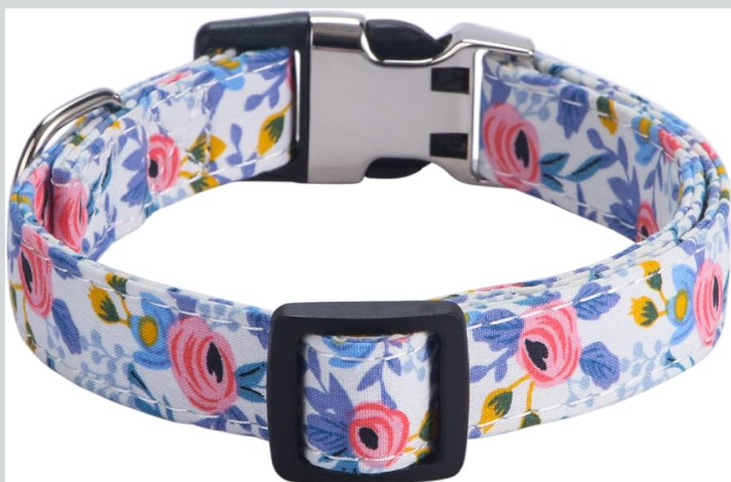 Girl Dog Collars - Rose, Sunflower, Daisy and Leopard Design in Medium for Female Dogs Rose Blue