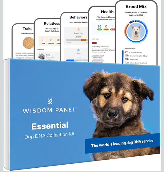 Wisdom Panel Essential Dog DNA Kit: Most Accurate Test for 365+ Breeds, 30 Genetic Health Conditions, 50+ Traits, Relatives, Ancestry - 1 Pack