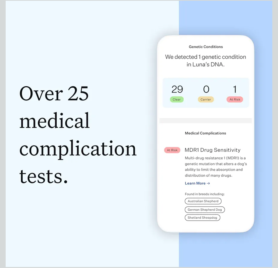 Wisdom Panel Essential Dog DNA Kit: Most Accurate Test for 365+ Breeds, 30 Genetic Health Conditions, 50+ Traits, Relatives, Ancestry - 1 Pack