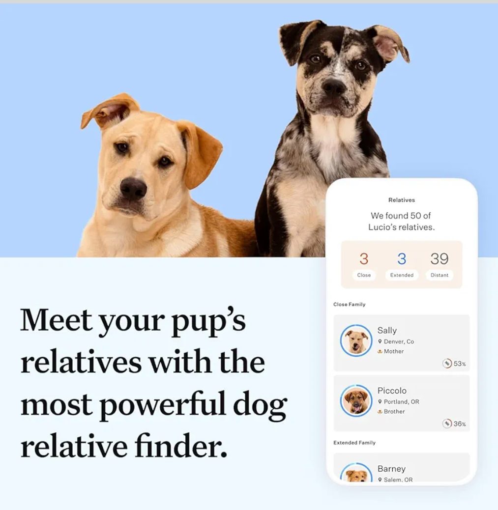 Wisdom Panel Essential Dog DNA Kit: Most Accurate Test for 365+ Breeds, 30 Genetic Health Conditions, 50+ Traits, Relatives, Ancestry - 1 Pack