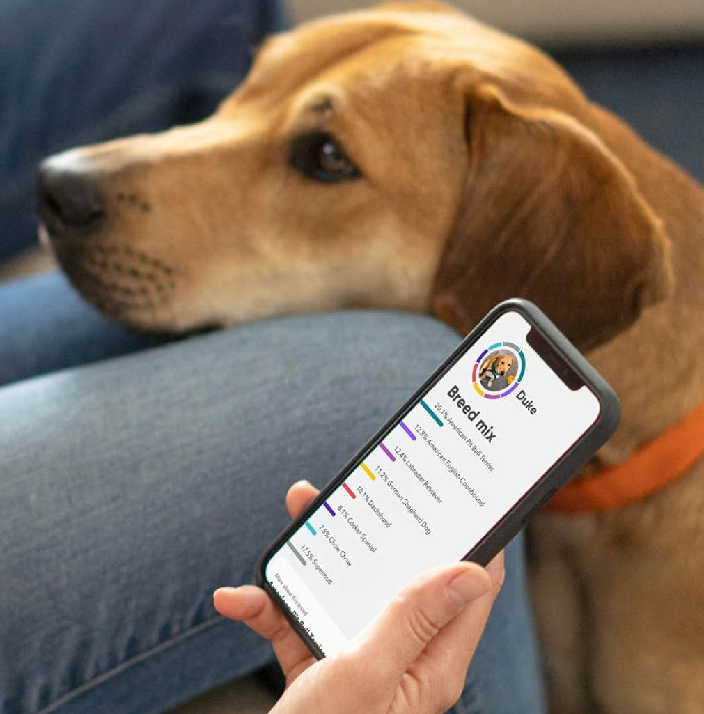 Embark Breed & Health Kit (2 Pack) - Dog DNA Test - Discover Breed, Ancestry, Relative Finder, Genetic Health, Traits, COI