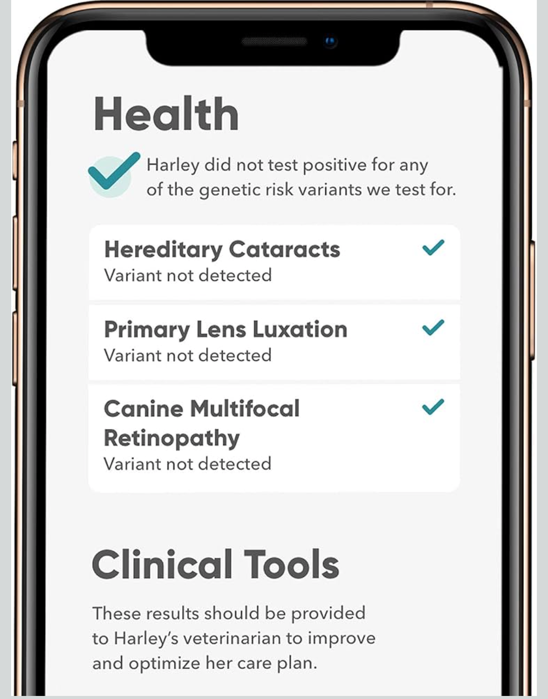 Embark Breed & Health Kit (2 Pack) - Dog DNA Test - Discover Breed, Ancestry, Relative Finder, Genetic Health, Traits, COI