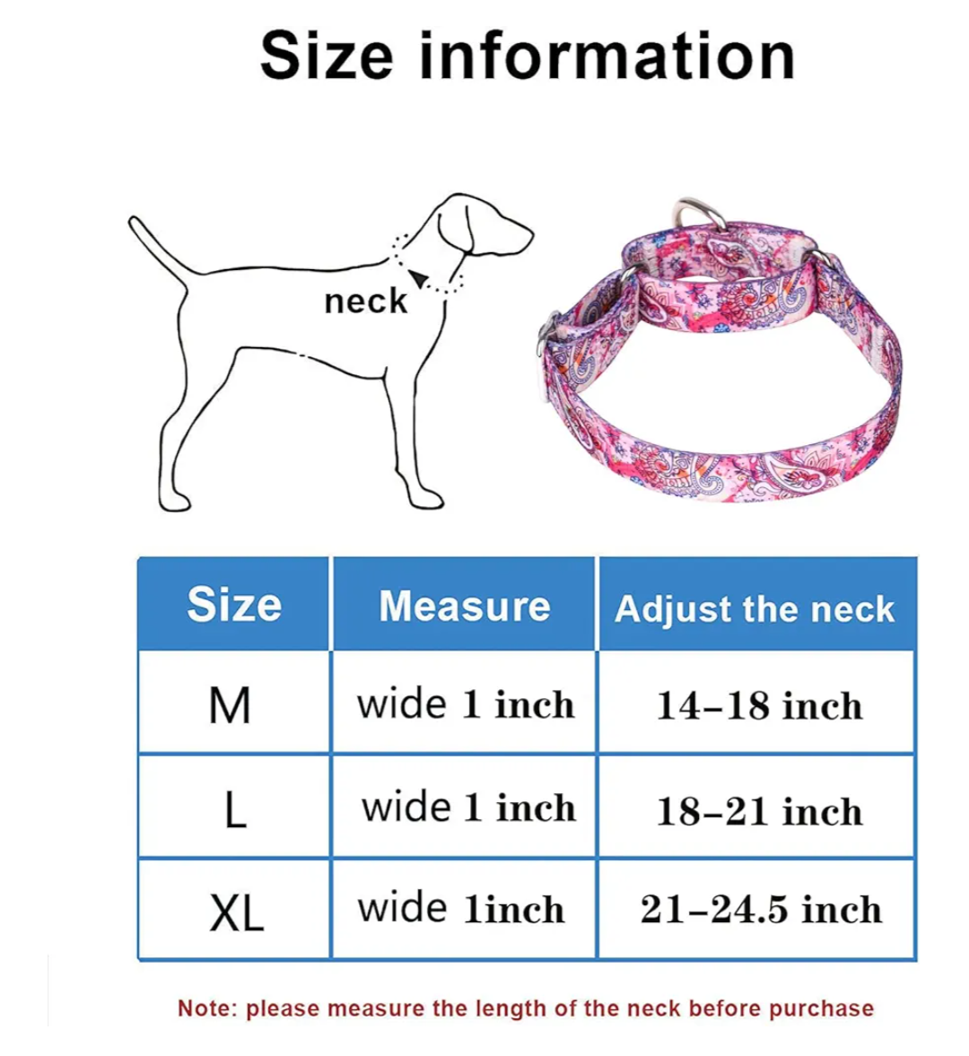 Pimaodog Heavy Duty Nylon Dog Collar, Adjustable Martingale Dog Collar for Walking Training Boy and Girl Dogs Medium Large Dogs (XL:53-62CM
