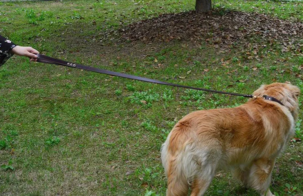 Leather Dog Leash 5ft, Warbriie Heavy Duty Dog Leash, Strong and Sturdy Leather Braided Dog Leash, Soft and Comfortable Leather Leash for Medium Large Dogs