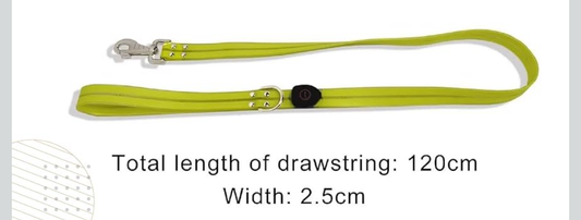 Safety Led Dog Leash for Night Walking - Glow in The Dark - Water Resistant Nylon Webbing - Lightweight and Heavy Duty - USB Rechargeable - RGB Color Changing - Suitable for All Dogs (Yellow)