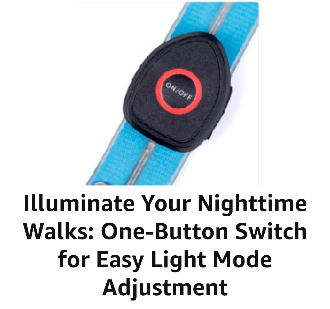 Safety Led Dog Leash for Night Walking - Glow in The Dark - Water Resistant Nylon Webbing - Lightweight and Heavy Duty - USB Rechargeable - RGB Color Changing - Suitable for All Dogs (Yellow)