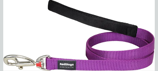 Red Dingo Padded Handle Dog Lead 1.2m Plain, Purple, Small 15mm