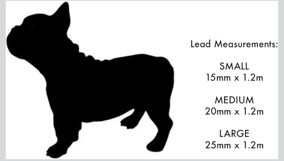 Red Dingo Padded Handle Dog Lead 1.2m Plain, Purple, Small 15mm