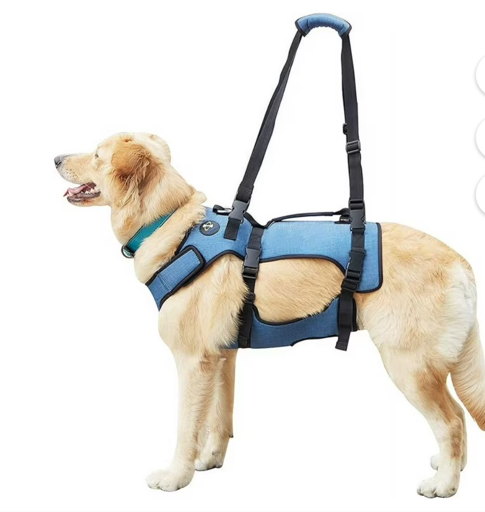 Coodeo Dog Lift Harness, Support & Recovery Sling, Pet Rehabilitation Lifts Vest Adjustable Breathable Straps for Old, Disabled, Joint Injuries, Arthritis, Paralysis Dogs Walk (Blue-XL)