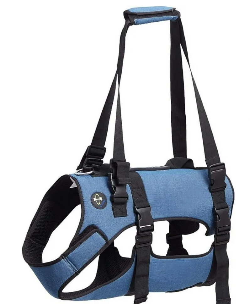 Coodeo Dog Lift Harness, Support & Recovery Sling, Pet Rehabilitation Lifts Vest Adjustable Breathable Straps for Old, Disabled, Joint Injuries, Arthritis, Paralysis Dogs Walk (Blue-XL)