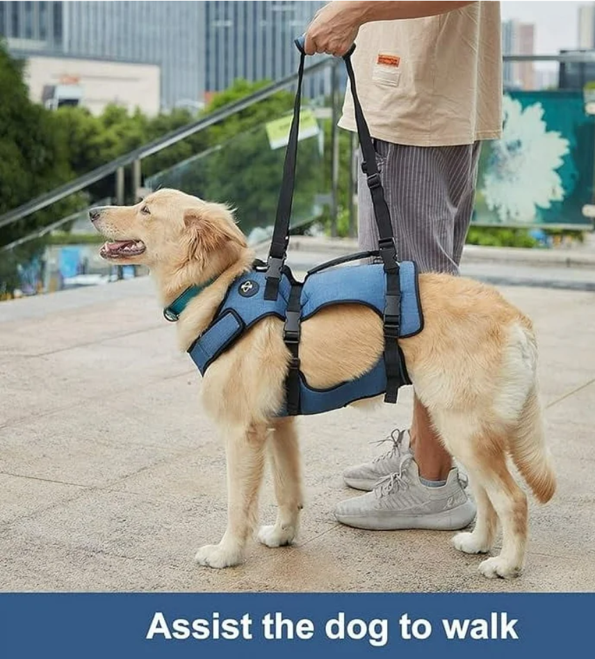 Coodeo Dog Lift Harness, Support & Recovery Sling, Pet Rehabilitation Lifts Vest Adjustable Breathable Straps for Old, Disabled, Joint Injuries, Arthritis, Paralysis Dogs Walk (Blue-XL)
