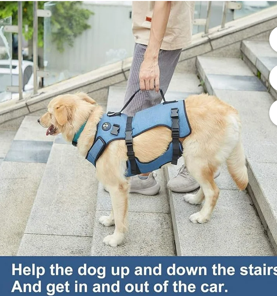Coodeo Dog Lift Harness, Support & Recovery Sling, Pet Rehabilitation Lifts Vest Adjustable Breathable Straps for Old, Disabled, Joint Injuries, Arthritis, Paralysis Dogs Walk (Blue-XL)
