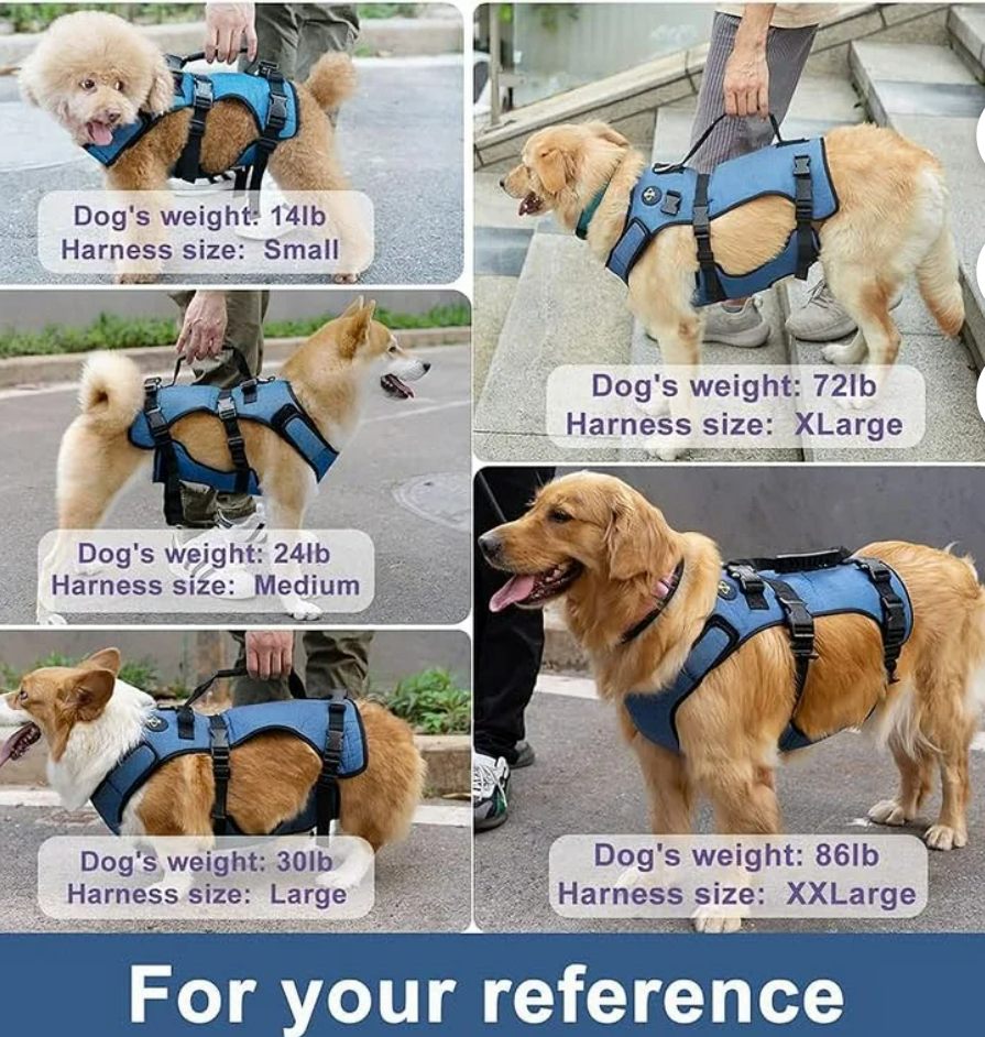 Coodeo Dog Lift Harness, Support & Recovery Sling, Pet Rehabilitation Lifts Vest Adjustable Breathable Straps for Old, Disabled, Joint Injuries, Arthritis, Paralysis Dogs Walk (Blue-XL)