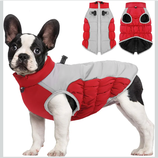 Dog Cold Weather Coats - Cozy Waterproof Windproof Reversible Winter Dog Jacket, Thick Padded Warm Coat, Red (X-Large)