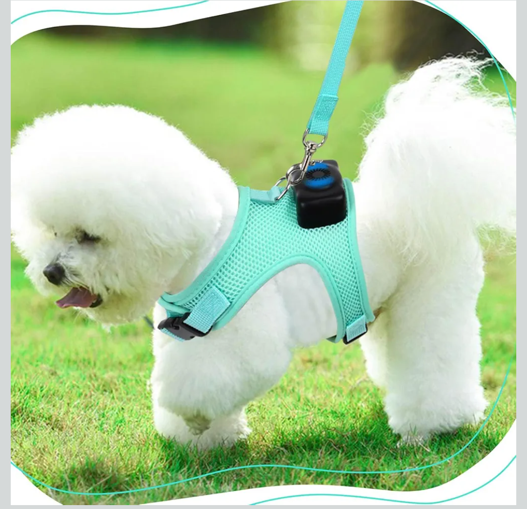 Roodisar Cooling Dog Harness and Leash Set Wearable Air Conditioner Dog Vest Harness Light Up Easy Walk Dog Harness Mesh Front Clip Puppy Harnesses for Small Dogs,PINK SMALL