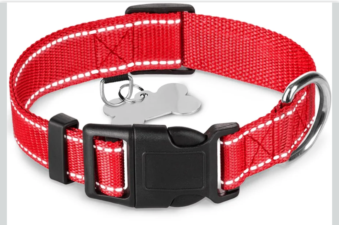 TECEUM Reflective Dog Collar – Red – M – Basic Nylon Pet Collar – Quick Release Buckle – Fits Small, Medium and Large Dogs, Puppies, Cats (Red)