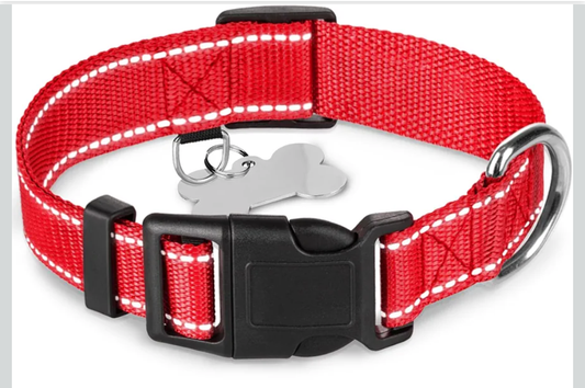 TECEUM Reflective Dog Collar – Red – M – Basic Nylon Pet Collar – Quick Release Buckle – Fits Small, Medium and Large Dogs, Puppies, Cats (Red)