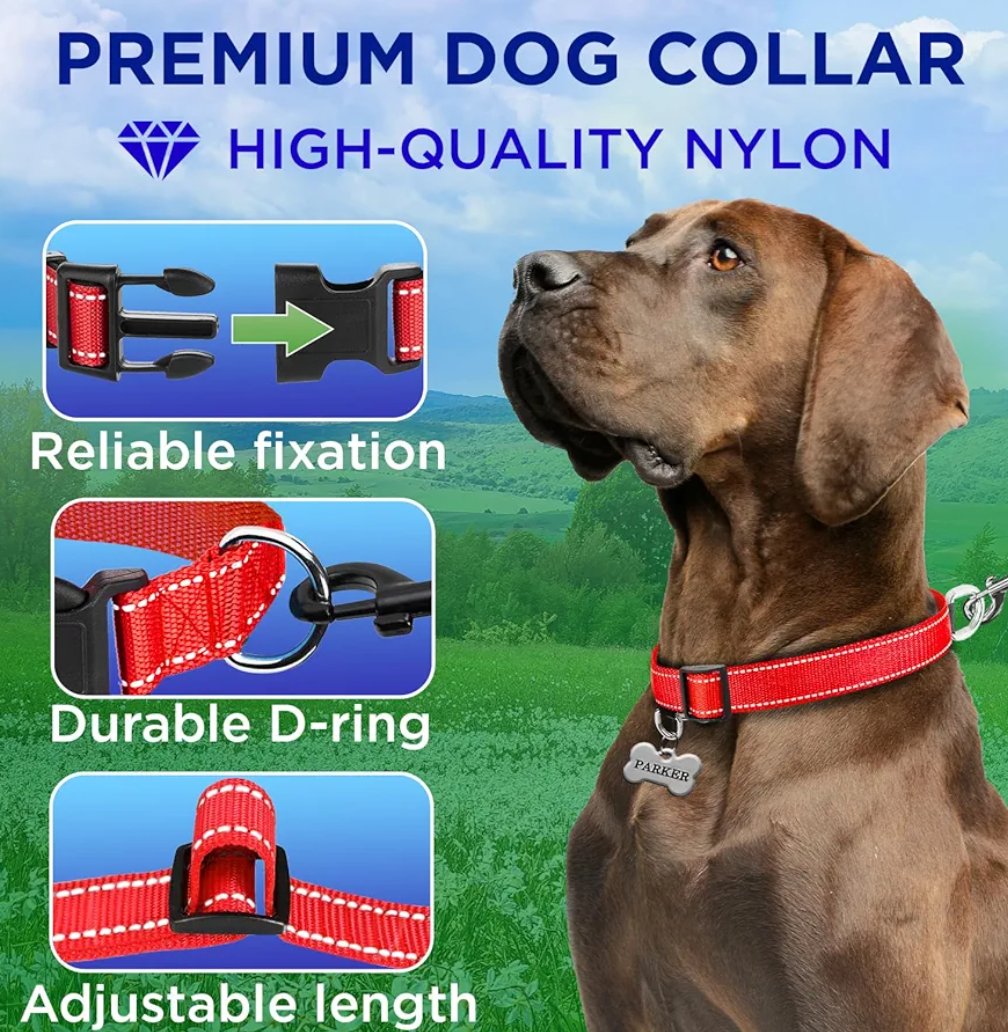 TECEUM Reflective Dog Collar – Red – M – Basic Nylon Pet Collar – Quick Release Buckle – Fits Small, Medium and Large Dogs, Puppies, Cats (Red)