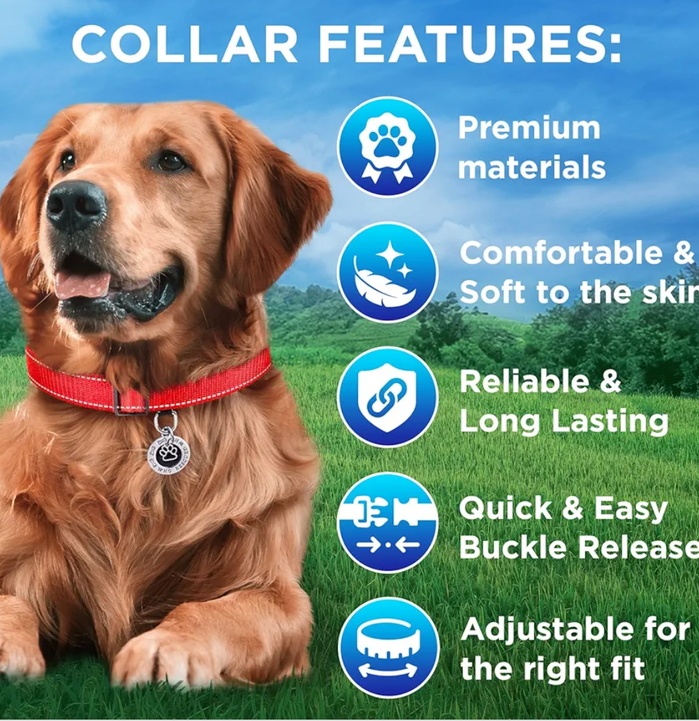 TECEUM Reflective Dog Collar – Red – M – Basic Nylon Pet Collar – Quick Release Buckle – Fits Small, Medium and Large Dogs, Puppies, Cats (Red)