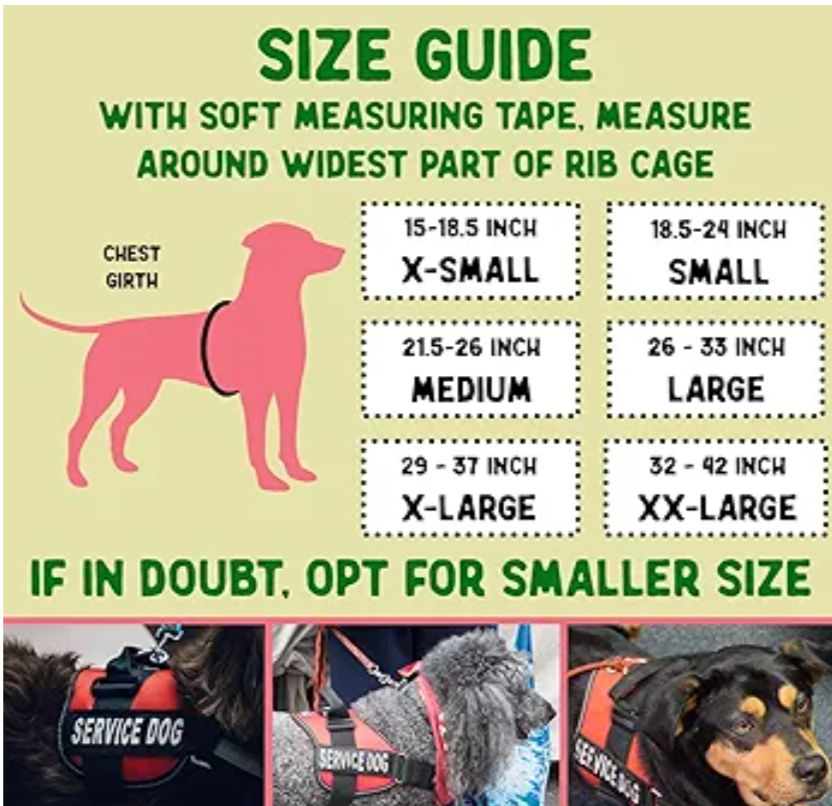 Service Dog Vest, ID Tag and ADA Info Cards - Harness in Small, 2-Sided Service Animal Cards. ESA Accessory Set