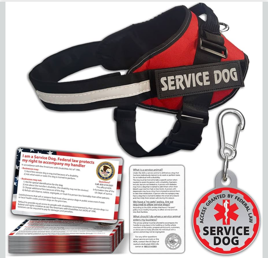 Service Dog Vest, ID Tag and ADA Info Cards - Harness in Small, 2-Sided Service Animal Cards. ESA Accessory Set