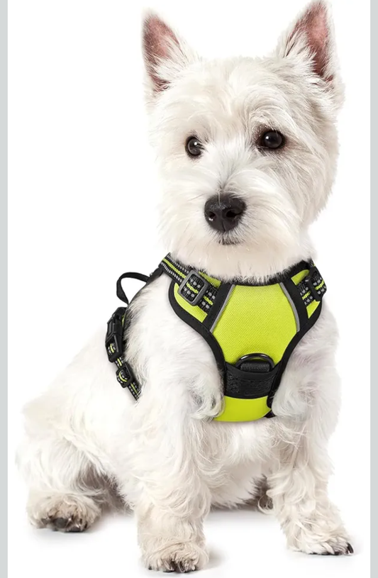 Dog Harness No Pull,Adjustable Pet Vest Harness Black with Handle, Reflective Oxford No Choke Pet Vest with Easy Control Handle for Dogs (Fluorescent Green, S)
