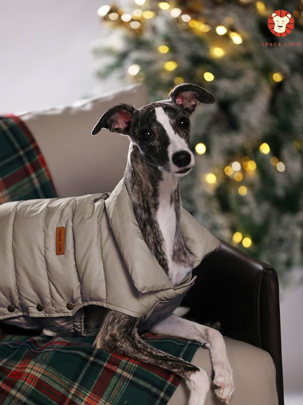 SPACE LION Puffer Jacket, Down Winter Coat, Durable Outdoor Coat for Cold and Windy Conditions, Waterproof, Windproof, Lightweight Jacket, Adjustable Fit for Small, Medium Dogs(khaki,M)