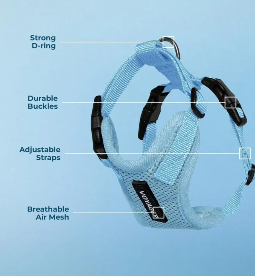 Voyager Step-In Lock Cat Harness and Matching Leash- Adjustable Step-In Vest Harness for Small and Large Cats by Best Pet Supplies