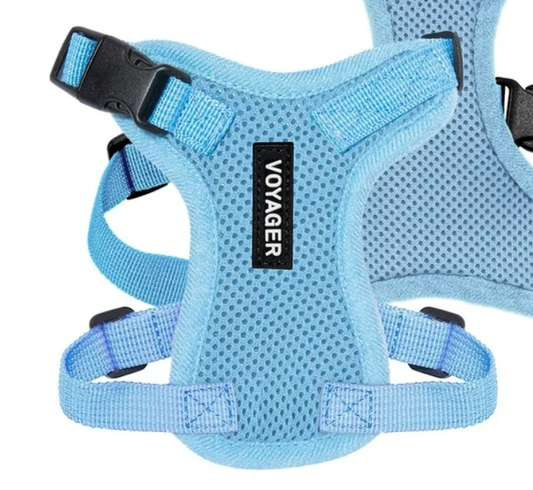 Voyager Step-In Lock Cat Harness and Matching Leash- Adjustable Step-In Vest Harness for Small and Large Cats by Best Pet Supplies